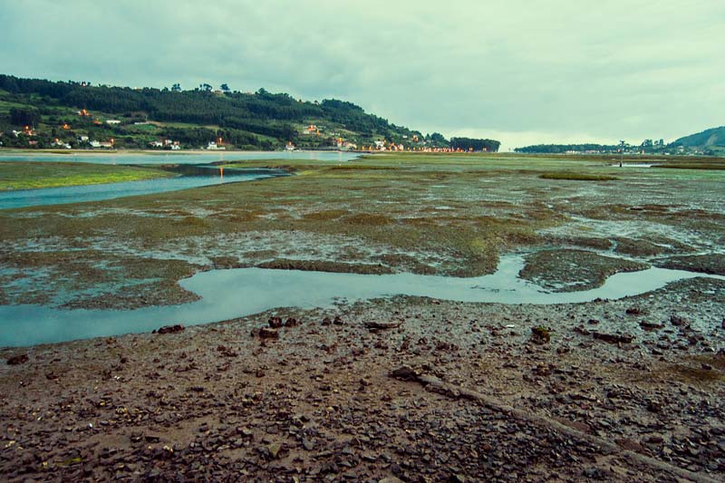 Ría de Villaviciosa