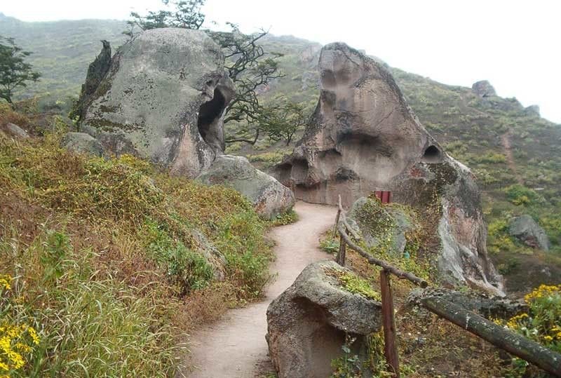 Lachay Camino en la Reserva Nacional de Lachay