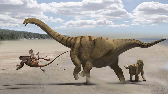Brontomerus pateando un depredador