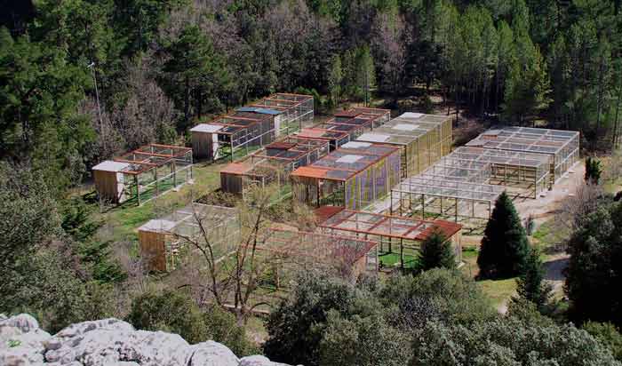 Jaulones del centro de cría Jaulas del centro de cría