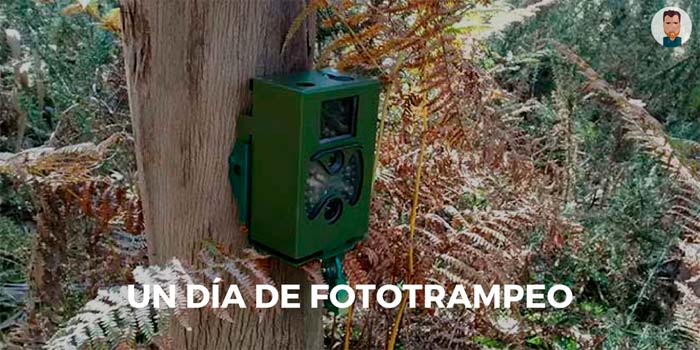 Un día de fototrampeo Instalando cámaras de fototrampeo