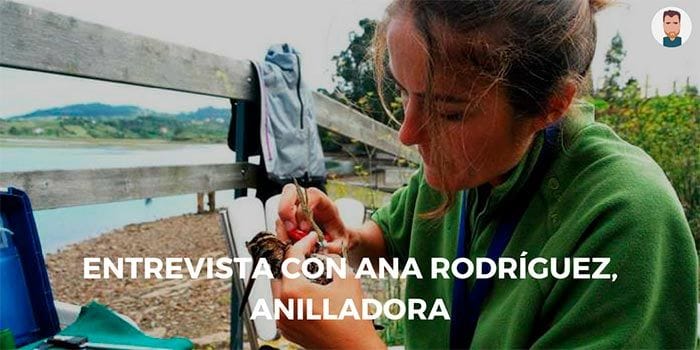 Entrevista con Ana Rodríguez, anilladora Entrevista a Ana, anilladora de aves