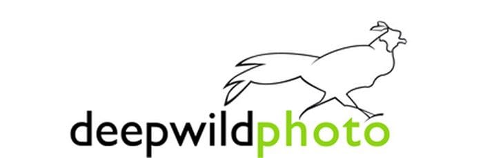 Logo de deepwildphoto Logotipo de Deepwildphoto
