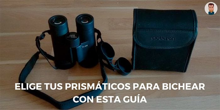 Descubre cómo elegir tus nuevos binoculares