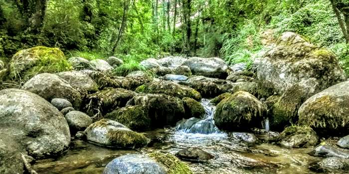 Un río con abundante piedra