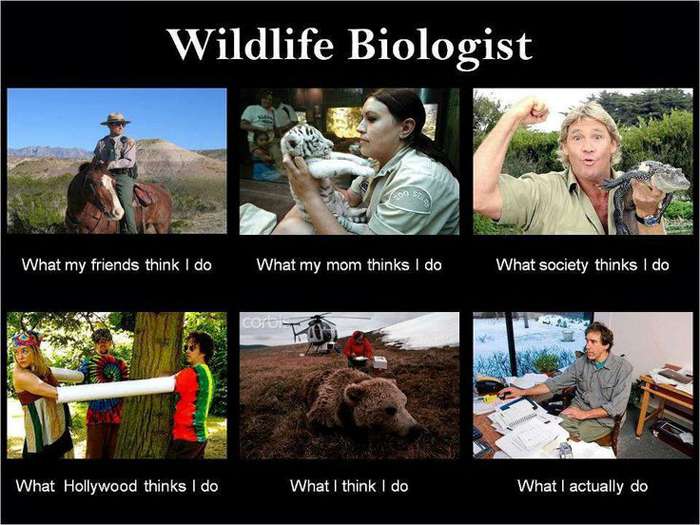 Lo que la gente piensa de la biología