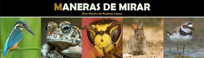 Maneras de mirar