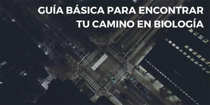 Cruce de carreteras con el título del artículo superpuesto