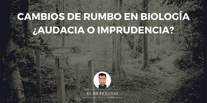 cambios_rumbo