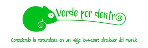 El simpático camaleón que hace las veces de logo de Verde por dentro El logo del proyecto viajero Verde por dentro