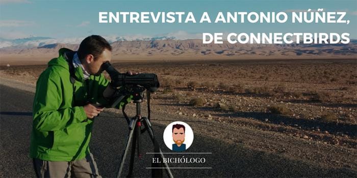 Antonio Núñez nos cuenta su experiencia creando ConnecBirds Entrevistando a Antonio Núñez, co-fundador de ConnectBirds