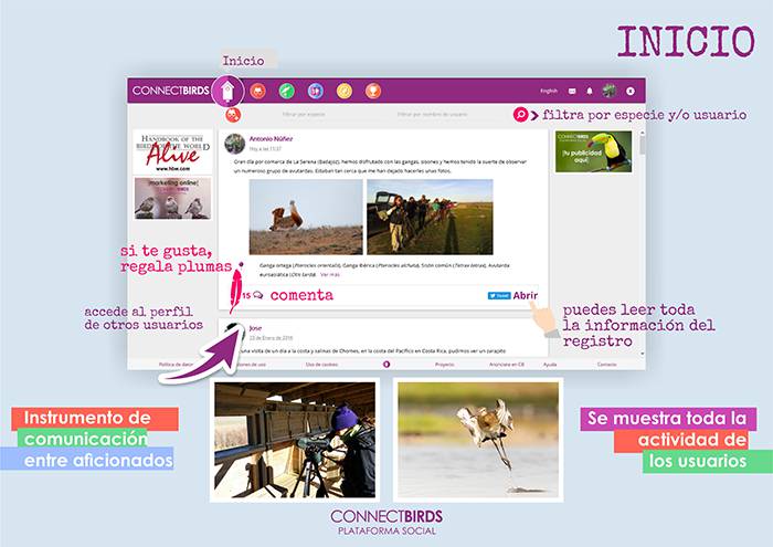Guía visual de ConnectBirds Guía de inicio rápido de ConnectBirds