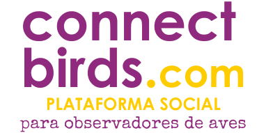 El logotipo de ConnectBirds: la plataforma social para observadores de aves Logotipo de la plataforma social de ornitología ConnectBirds