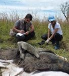 Héctor y una compañera estudiando osos hormigueros
