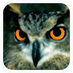 Logo de Aves de España