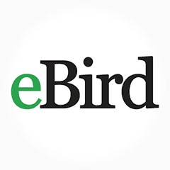 Logo de eBird