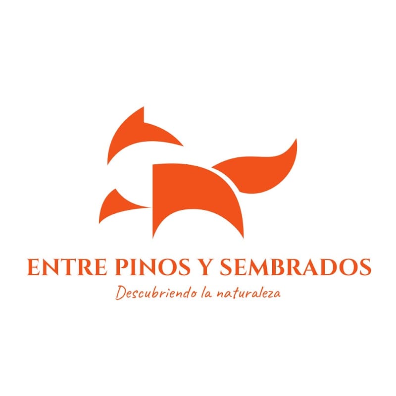Entre Pinos y Sembrados Logo Entre Pinos y Sembrados